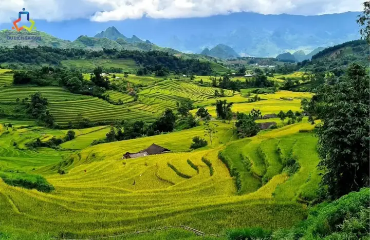 Du Lịch Bền Vững Là Gì? Tổng Hợp Các Loại Hình Du Lịch Bền Vững Phổ Biến Tại Việt Nam Hiện Nay