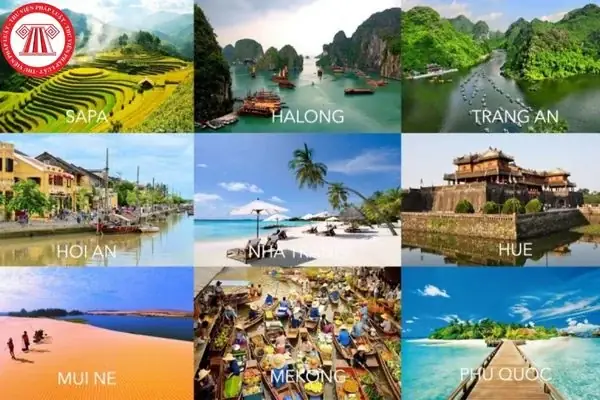 Du Lịch Bền Vững Là Gì? Tổng Hợp Các Loại Hình Du Lịch Bền Vững Phổ Biến Tại Việt Nam Hiện Nay