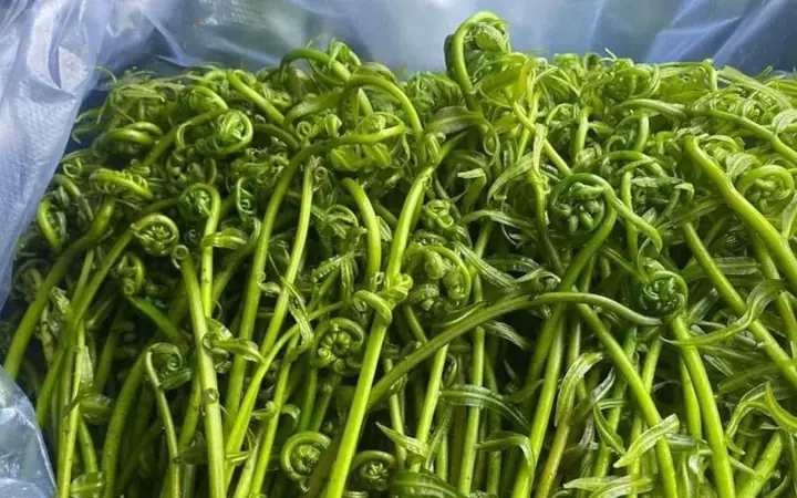 Các Loại Rau Rừng Thường Dùng Cuốn Bánh Tráng: Danh Sách, Cách Chọn Và Bảo Quản