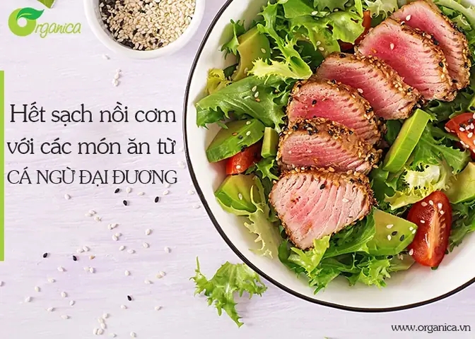 Gợi Ý Các Món Ngon Từ Cá Ngừ Đại Dương Dễ Làm Tại Nhà Gợi Ý Các Món Ngon Từ Cá Ngừ Đại Dương Dễ Làm Tại Nhà