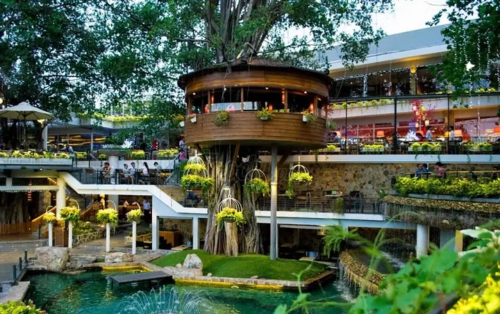 Khám Phá Các Quán Cafe Đẹp Ở Quận 7: Không Gian View Đẹp, Yên Tĩnh Cho Giới Trẻ Khám Phá Các Quán Cafe Đẹp Ở Quận 7: Không Gian View Đẹp, Yên Tĩnh Cho Giới Trẻ
