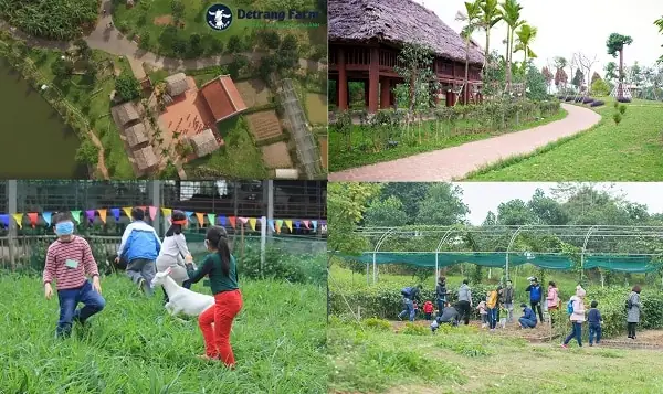 Khám Phá Các Trang Trại Giáo Dục Ở Hà Nội: Điểm Đến Dã Ngoại Trải Nghiệm Cho Trẻ Em
