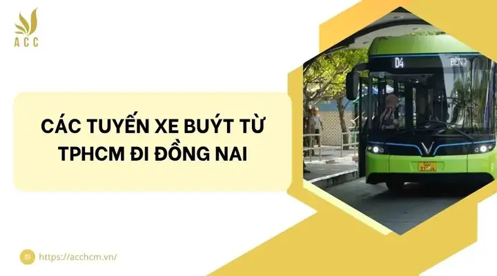 Cập Nhật Các Tuyến Xe Buýt Từ Tphcm Đi Đồng Nai: Lộ Trình, Giờ Chạy Và Giá Vé Mới Nhất Cập Nhật Các Tuyến Xe Buýt Từ Tphcm Đi Đồng Nai: Lộ Trình, Giờ Chạy Và Giá Vé Mới Nhất