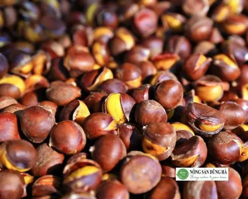 Cách Chế Biến Hạt Dẻ Cao Bằng Tại Nhà: Luộc Và Rang Thơm Ngon Dễ Bóc Vỏ Cách Chế Biến Hạt Dẻ Cao Bằng Tại Nhà: Luộc Và Rang Thơm Ngon Dễ Bóc Vỏ