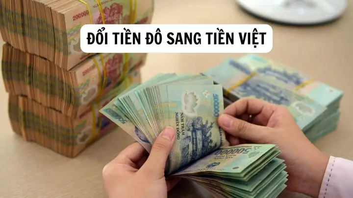 Cách Đổi Tiền Usd Sang Vnd: Hướng Dẫn Chi Tiết, Địa Điểm Uy Tín Và Mẹo Nhận Tỷ Giá Tốt