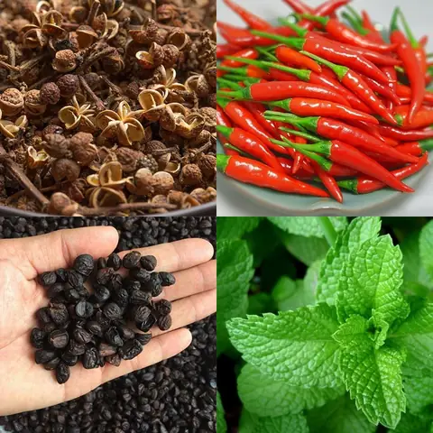 Cách Làm Muối Chẩm Chéo Khô Chuẩn Tây Bắc: Hướng Dẫn Chi Tiết Từ A‑z