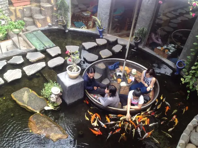 Top 10 Quán Cafe Cá Koi Ở Sài Gòn – Địa Điểm Chill, View Đẹp Và Tiện Nghi