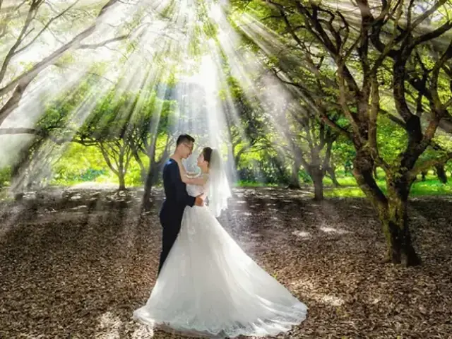 Kinh Nghiệm Cắm Trại Vườn Nhãn Vĩnh Tuy: Địa Điểm, Giá Vé & Lịch Trình Chill Cho Người Mới