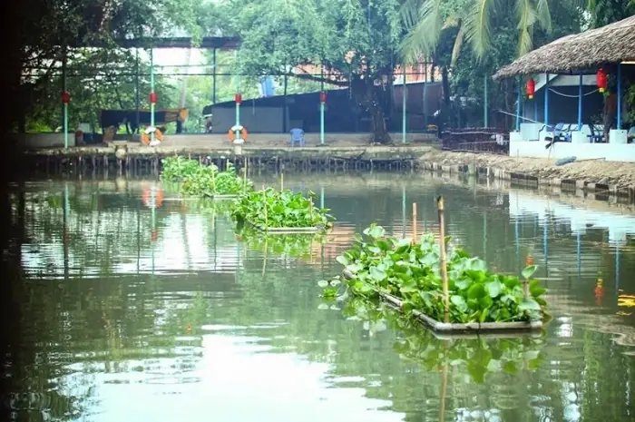 Top 9 Địa Điểm Câu Cá Giải Trí Ở Sài Gòn – Lựa Chọn Tốt Nhất Cho Cuối Tuần