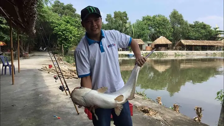 Top 9 Địa Điểm Câu Cá Giải Trí Ở Sài Gòn – Lựa Chọn Tốt Nhất Cho Cuối Tuần