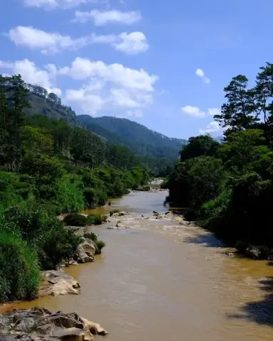 Khám Phá Cầu Treo La Bá Đà Lạt: Địa Điểm Check-in Chông Chênh Giữa Thiên Nhiên Cho Người Thích Mạo Hiểm