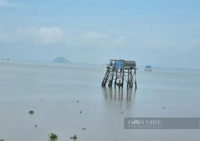 Cầu Vượt Biển Dài 6 Km Tới Cồn Nổi (kim Sơn, Ninh Bình) – Đường Đi, Lịch Sử Và Điểm Tham Quan