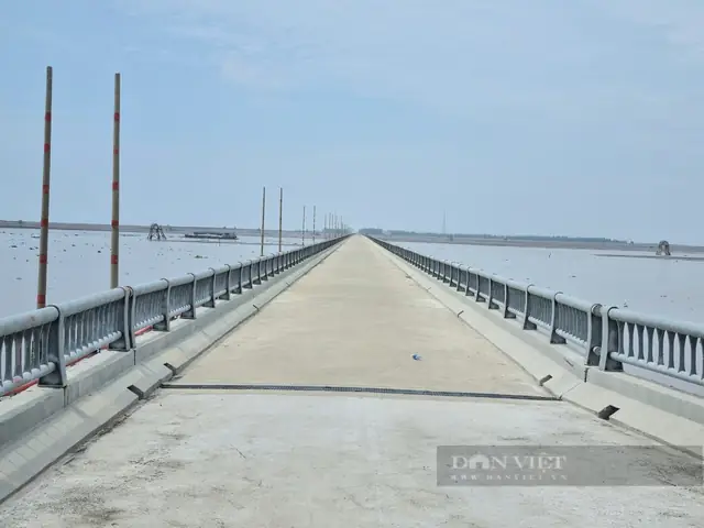 Cầu Vượt Biển Dài 6 Km Tới Cồn Nổi (kim Sơn, Ninh Bình) – Đường Đi, Lịch Sử Và Điểm Tham Quan