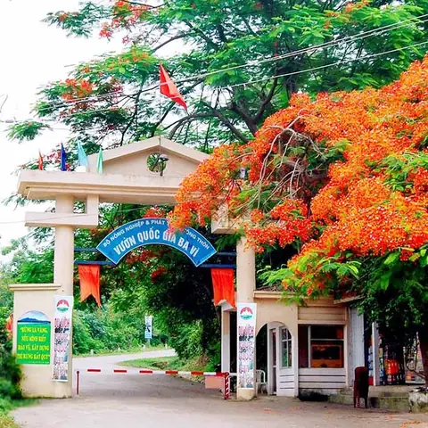 Tổng Hợp Các Điểm Check-in Vườn Quốc Gia Ba Vì Cho Người Yêu Thiên Nhiên
