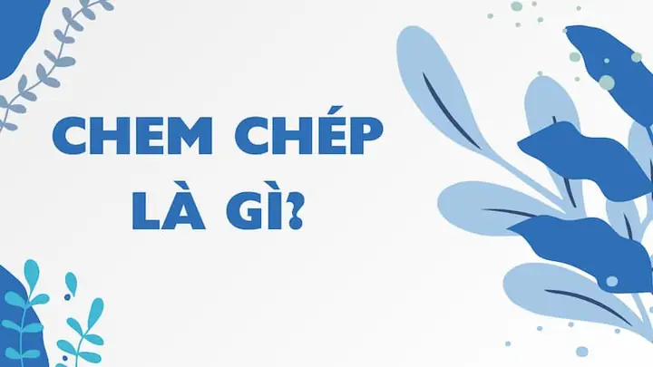 Chem Chép Tiếng Anh Là Gì? Định Nghĩa, Cách Dịch Và Thông Tin Sinh Học