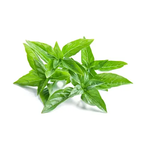 Tìm Chỗ Bán Lá É Tươi Ở Sài Gòn: Địa Chỉ Uy Tín Từ Cửa Hàng, Chợ Và Dịch Vụ Ship Tận Nhà Tìm Chỗ Bán Lá É Tươi Ở Sài Gòn: Địa Chỉ Uy Tín Từ Cửa Hàng, Chợ Và Dịch Vụ Ship Tận Nhà