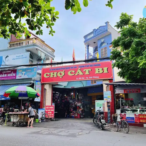Giải Đáp Giờ Đóng Cửa Chợ Cát Bi Hải Phòng Cùng Khung Giờ Lý Tưởng Cho Thực Khách Giải Đáp Giờ Đóng Cửa Chợ Cát Bi Hải Phòng Cùng Khung Giờ Lý Tưởng Cho Thực Khách