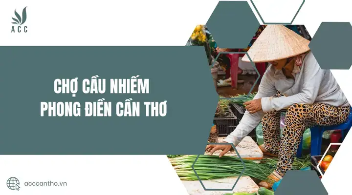 Tổng Quan Chợ Cầu Nhiếm Phong Điền Cần Thơ Và Các Ưu Điểm Nổi Bật Của Khu Vực