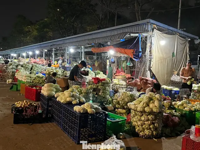 Tìm Hiểu Chợ Đầu Mối Thủ Đức Tp.hcm: Vị Trí, Diện Tích Và Giờ Hoạt Động Tại Cửa Ngõ Phía Đông