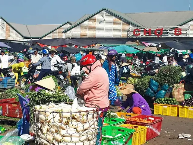 Tìm Hiểu Chợ Đầu Mối Thủ Đức Tp.hcm: Vị Trí, Diện Tích Và Giờ Hoạt Động Tại Cửa Ngõ Phía Đông