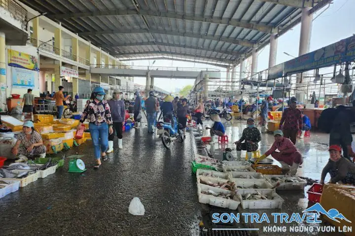 Chợ Đầu Mối Thủy Sản Thọ Quang: Địa Chỉ, Giờ Mở Cửa, Cách Đi Và Những Lưu Ý Khi Mua Hải Sản Tươi