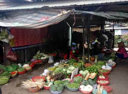 Khám Phá Chợ Đông Đô Thuận An Bình Dương: Địa Chỉ Đt743 An Phú Và Thông Tin Chợ Khám Phá Chợ Đông Đô Thuận An Bình Dương: Địa Chỉ Đt743 An Phú Và Thông Tin Chợ
