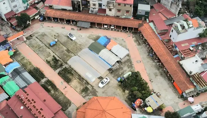 Chợ Hàng Hải Phòng Bán Chó: Địa Chỉ, Lịch Mở, Giá Và Hướng Dẫn Mua An Toàn