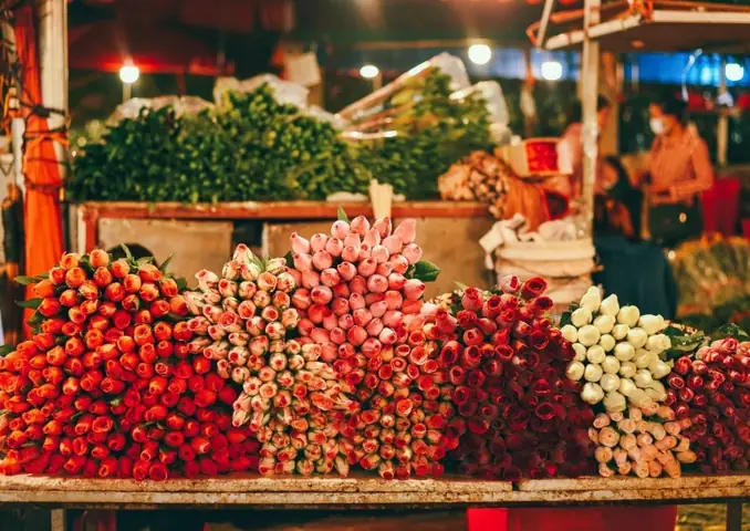 Khám Phá Chợ Hoa Quảng An Tây Hồ – Thiên Đường Hoa Đêm Lớn Nhất Hà Nội