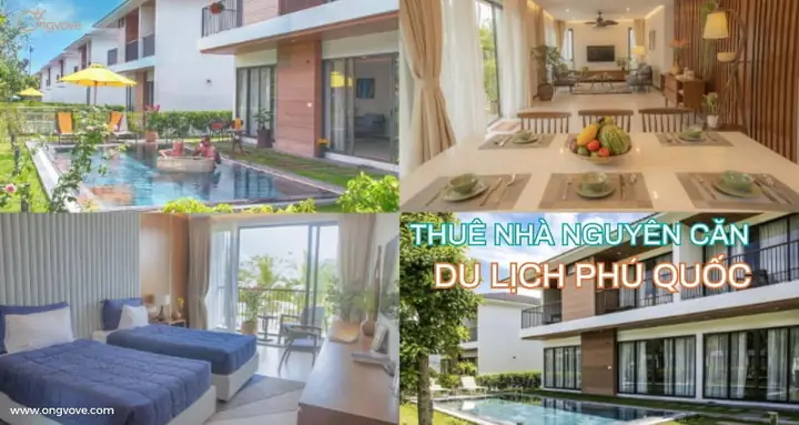 Hướng Dẫn Chi Tiết Thuê Nhà Ở Phú Quốc: Giá, Khu Vực, Và Lưu Ý Cần Biết