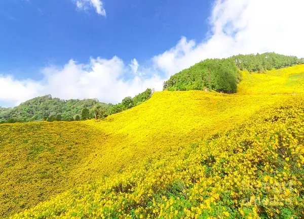 Khám Phá Núi Lửa Chư Đăng Ya Tại Chư Păh, Gia Lai: Thắng Cảnh Thiên Nhiên Tây Nguyên