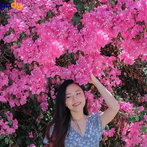 Hướng Dẫn Chi Tiết Cách Tạo Dáng Chụp Ảnh Với Giàn Hoa Giấy – 20 Pose Đẹp Cho Nàng Thơ