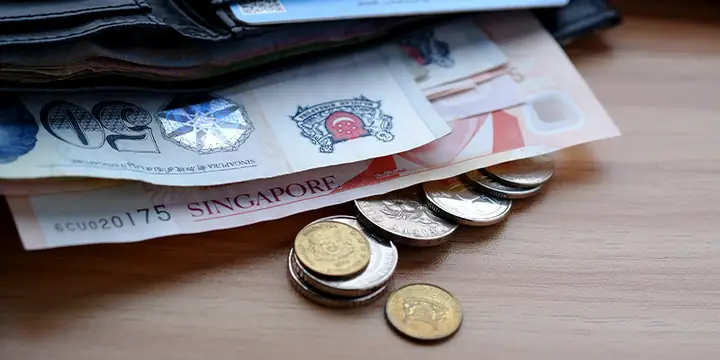 Hướng Dẫn Cách Chuyển Tiền Từ Singapore Sang Việt Nam Nhanh Chóng Và An Toàn
