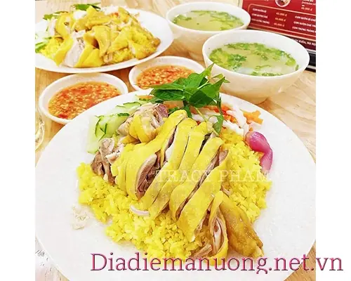Cơm Gà Tuyết Nhung Tô Hiệu – Địa Chỉ Quán Tại Hà Nội Và Thông Tin Phục Vụ Thực Khách