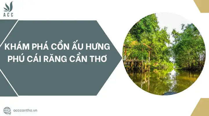 Khám Phá Cồn Ấu Hưng Phú Cái Răng Cần Thơ: Ốc Đảo Sông Nước Và Kinh Nghiệm Du Lịch Thực Tế