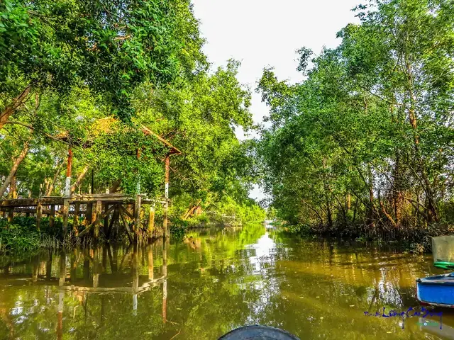 Khám Phá Cồn Ấu Hưng Phú Cái Răng Cần Thơ: Ốc Đảo Sông Nước Và Kinh Nghiệm Du Lịch Thực Tế Khám Phá Cồn Ấu Hưng Phú Cái Răng Cần Thơ: Ốc Đảo Sông Nước Và Kinh Nghiệm Du Lịch Thực Tế