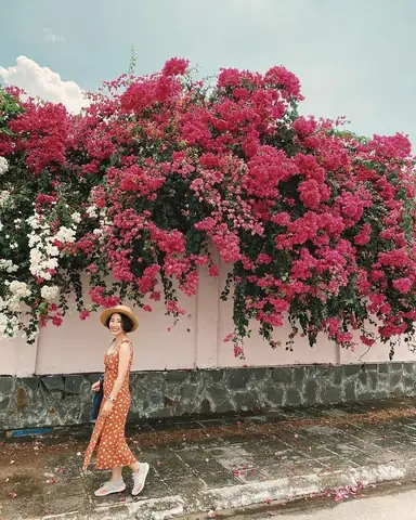 Top 10 Con Đường Đẹp Ở Vũng Tàu Mà Bạn Không Nên Bỏ Lỡ