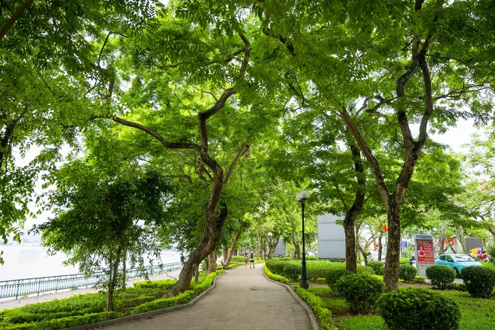 Khám Phá Con Đường Lãng Mạn Nhất Hà Nội: Đường Thanh Niên Và Những Cung Đường Tình Yêu Thơ Mộng Khám Phá Con Đường Lãng Mạn Nhất Hà Nội: Đường Thanh Niên Và Những Cung Đường Tình Yêu Thơ Mộng
