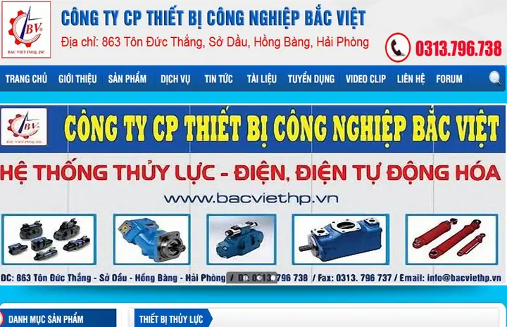 Thông Tin Chi Tiết Công Ty Cổ Phần Bắc Việt Hải Phòng: Mã Số Thuế, Địa Chỉ, Ngành Nghề & Cơ Hội Tuyển Dụng
