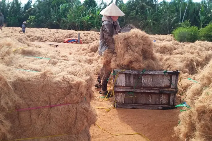 Danh Sách Các Công Ty Chỉ Xơ Dừa Bến Tre Uy Tín Và Địa Chỉ Liên Hệ