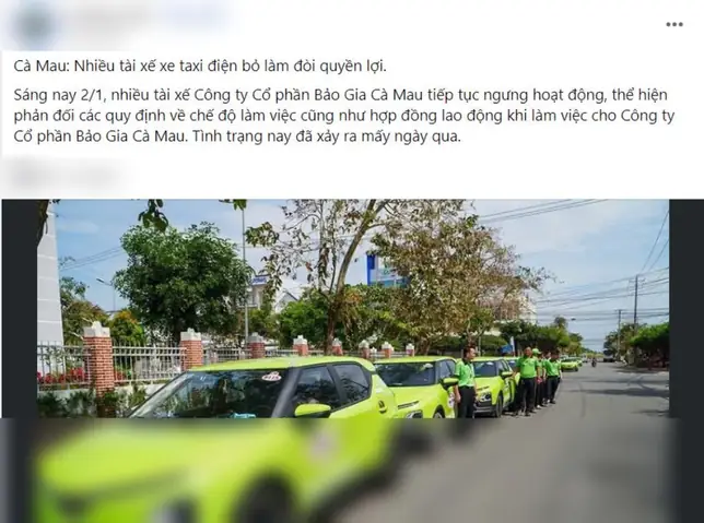 Tra Cứu Thông Tin Công Ty Cổ Phần Open99 Gia Định: Mã Số Thuế, Địa Chỉ Và Tuyển Dụng