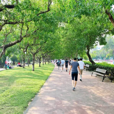 Công Viên Cây Xanh Gò Vấp: Hướng Dẫn Chi Tiết Địa Điểm, Tiện Ích Và Cách Đến
