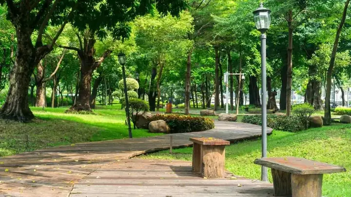 Diện Tích Công Viên Gia Định Là Bao Nhiêu? Tổng Quan Chi Tiết Cho Người Yêu Thiên Nhiên
