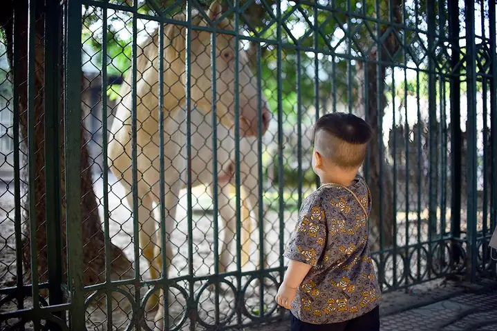 Giờ Mở Cửa Công Viên Thủ Lệ Là Mấy Giờ? Lịch Hoạt Động Chi Tiết Cho Du Khách