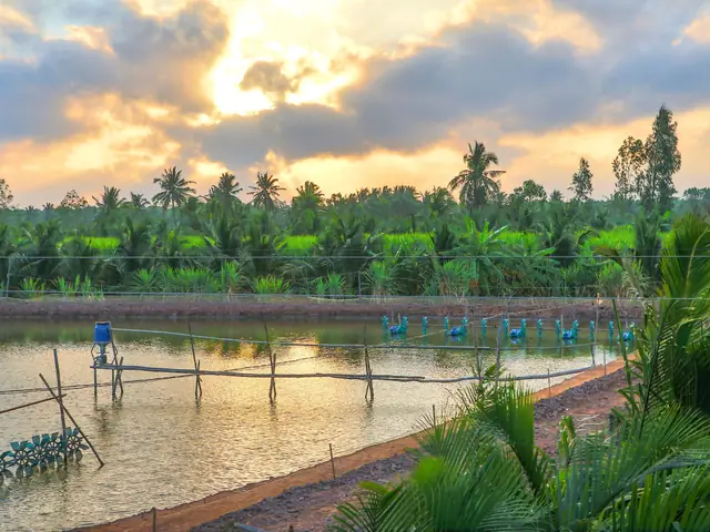 Giải Đáp Cù Lao Là Vùng Đất Như Thế Nào: Đảo Thiên Nhiên Giữa Sông Và Đặc Điểm Phân Biệt Với Cồn