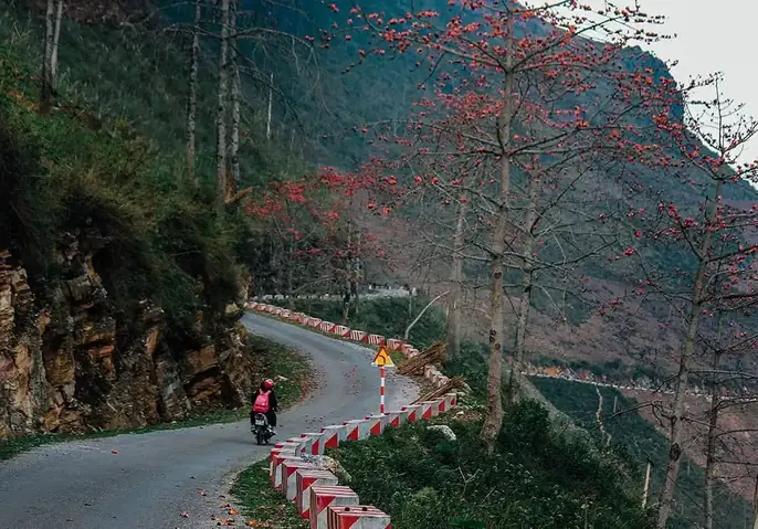 Xác Định Cung Đường Nguy Hiểm Nhất Hà Giang Và Những Tuyến Đường Hiểm Trở Cho Dân Xê Dịch Xác Định Cung Đường Nguy Hiểm Nhất Hà Giang Và Những Tuyến Đường Hiểm Trở Cho Dân Xê Dịch