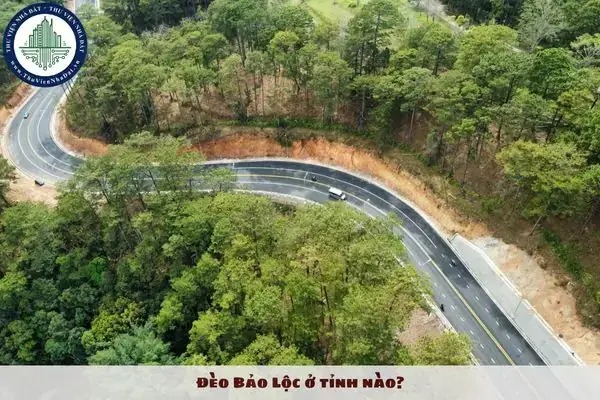 Đèo Bảo Lộc Thuộc Tỉnh Nào Và Những Thông Tin Cơ Bản Về Cung Đèo Lâm Đồng Đèo Bảo Lộc Thuộc Tỉnh Nào Và Những Thông Tin Cơ Bản Về Cung Đèo Lâm Đồng