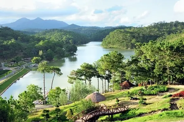 Chọn Thời Điểm Lý Tưởng: Đi Đà Lạt Mùa Nào Đẹp Nhất Trong Năm Dành Cho Du Khách Chọn Thời Điểm Lý Tưởng: Đi Đà Lạt Mùa Nào Đẹp Nhất Trong Năm Dành Cho Du Khách
