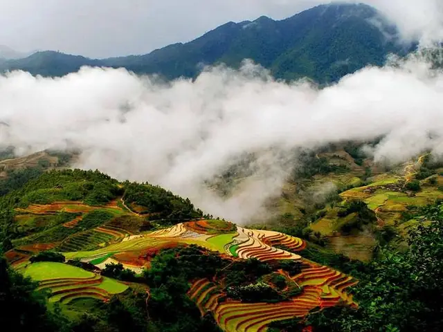 Hướng Dẫn Chi Tiết Cách Đi Du Lịch Sapa: Lịch Trình, Di Chuyển, Chi Phí Và Mẹo Cho Người Mới