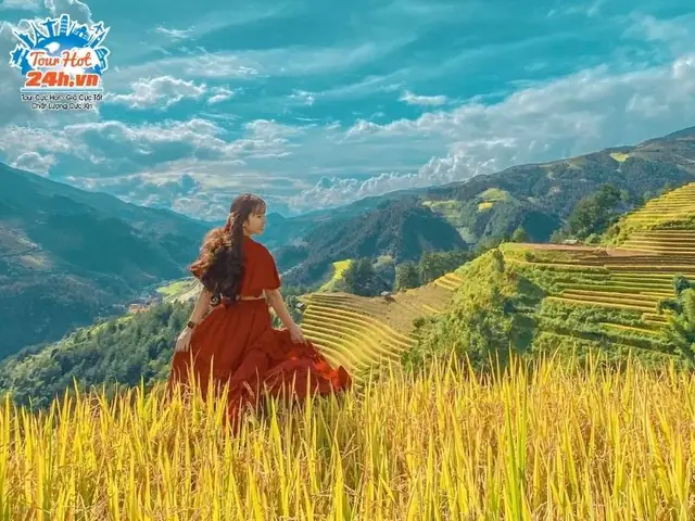 Đi Mù Cang Chải Tháng Nào Đẹp Nhất? Lịch Trình Thời Điểm Vàng Cho Du Lịch