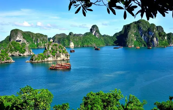 Tổng Hợp Các Di Sản Văn Hóa Việt Nam Được Unesco Công Nhận Theo Từng Loại Hình Tổng Hợp Các Di Sản Văn Hóa Việt Nam Được Unesco Công Nhận Theo Từng Loại Hình
